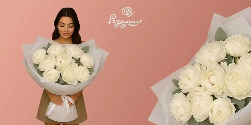 Огромный букет белых пионов, фронтальный вид, в руках у девушки