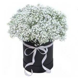 Белый мотылёк